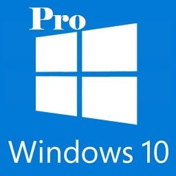 Windows 10 Pro with Office 2019 logo