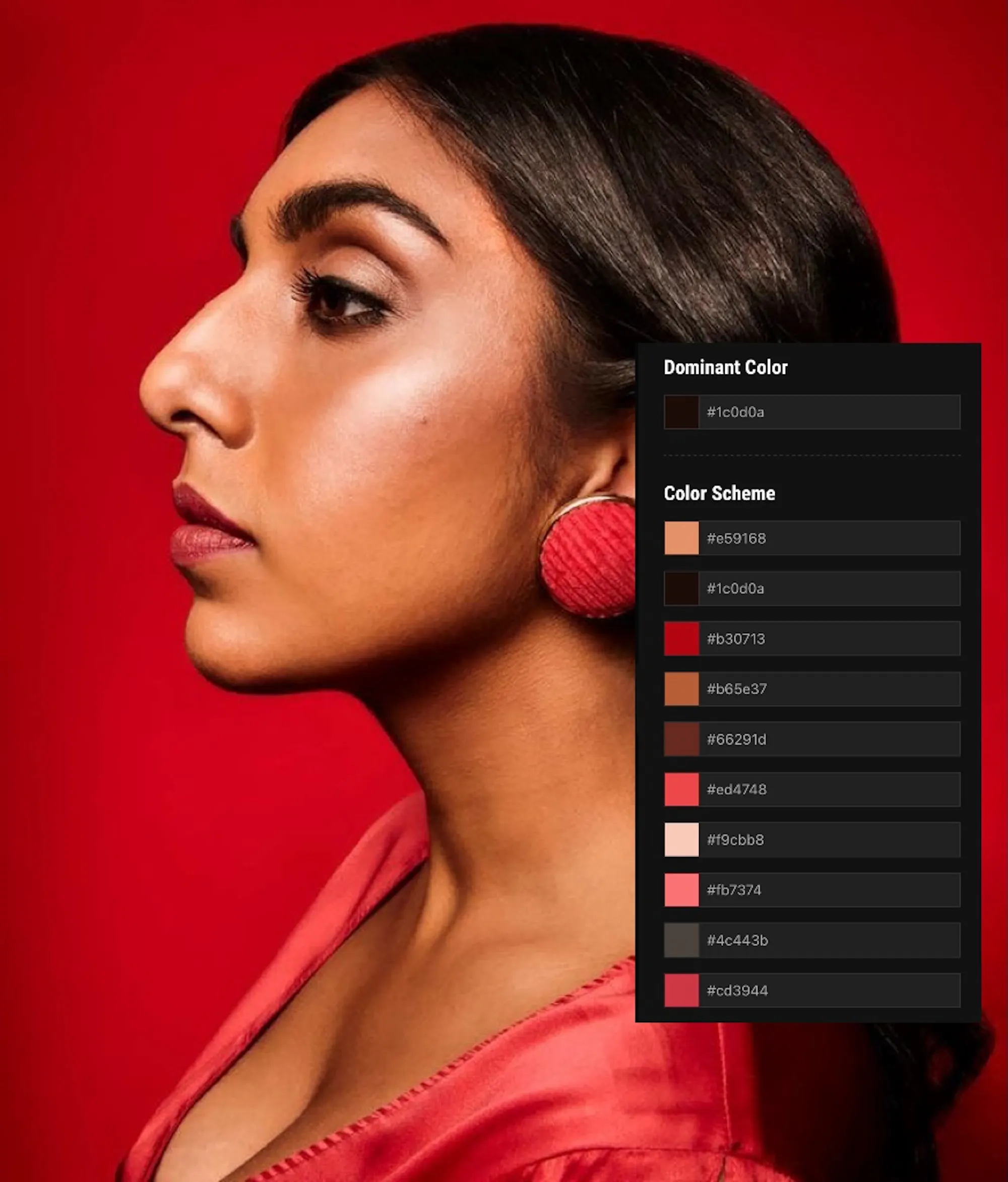How to Properly Use a Color Palette 🎨