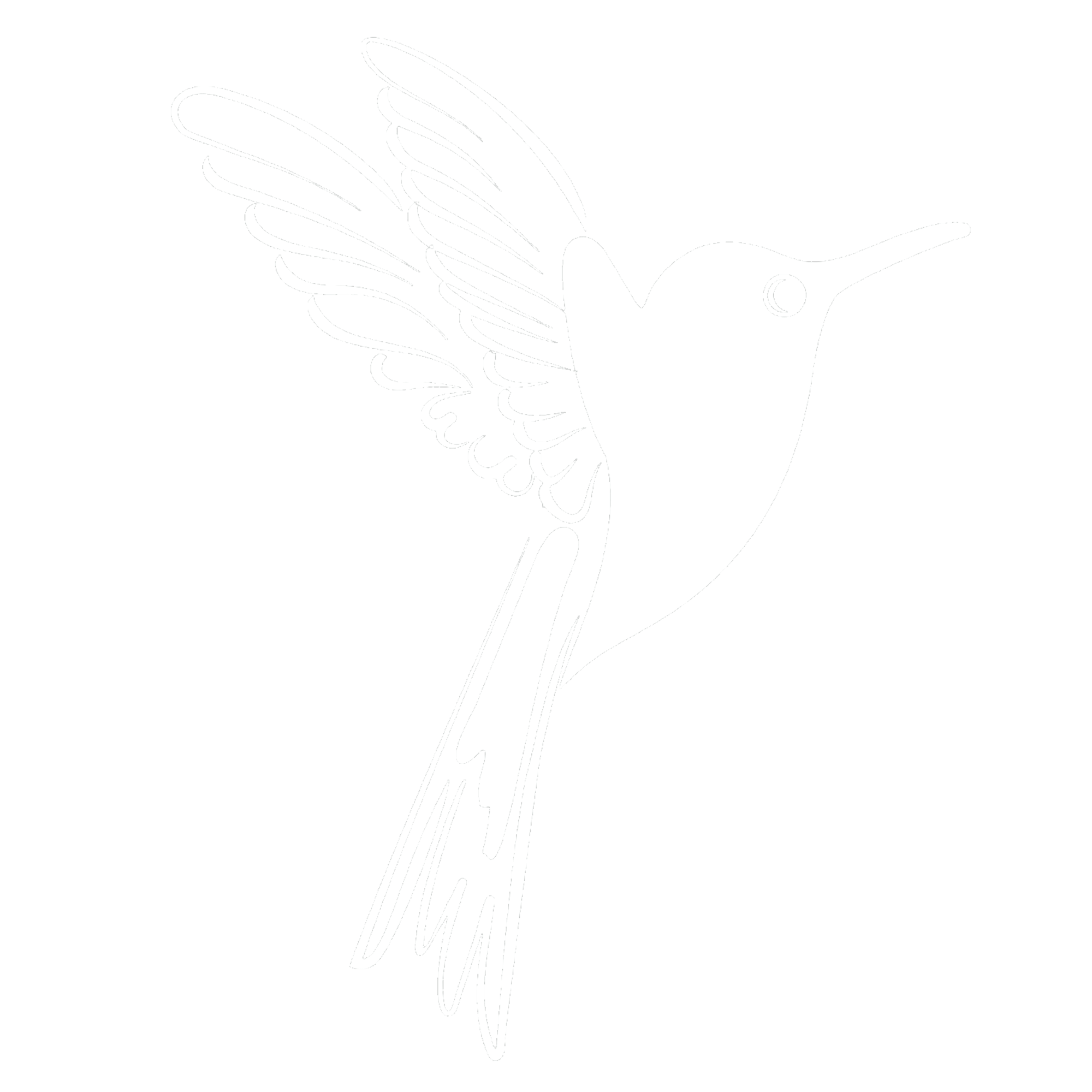 Dreamer. The platform for your visionary mindset.