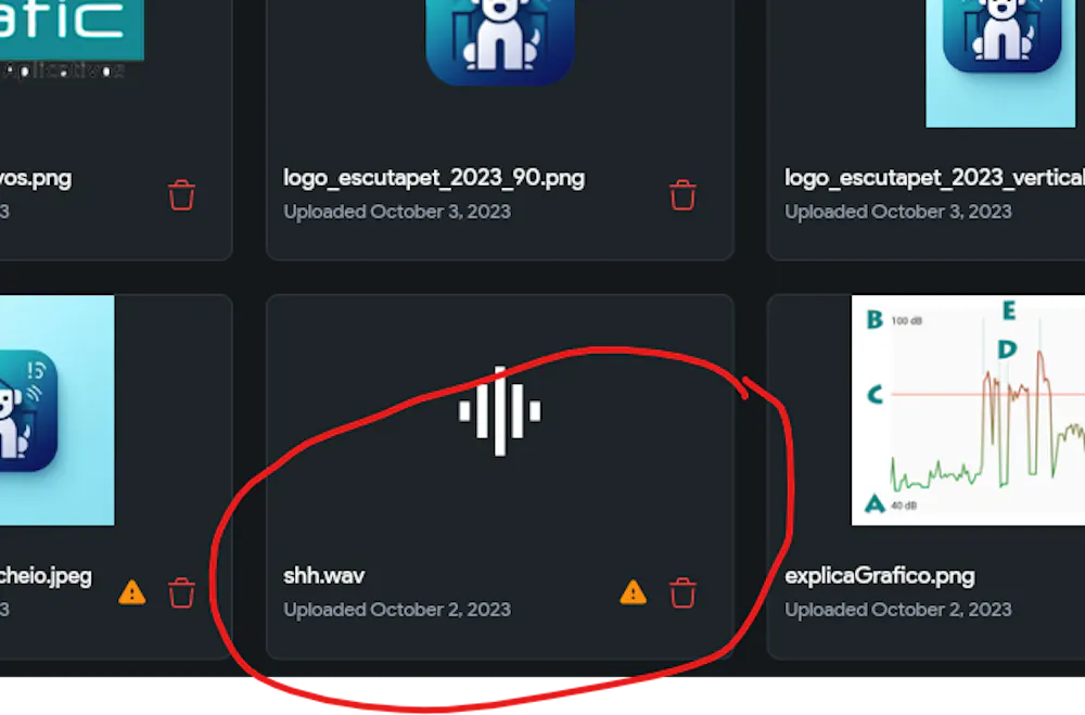 Asset in Custom Widget is not in the project? [SOLVED]