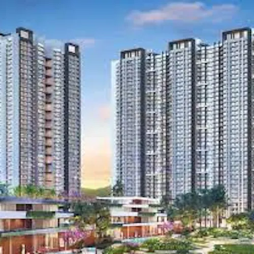 Purva northernlights