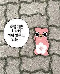 보도에 핑크 색 올빼미 사진