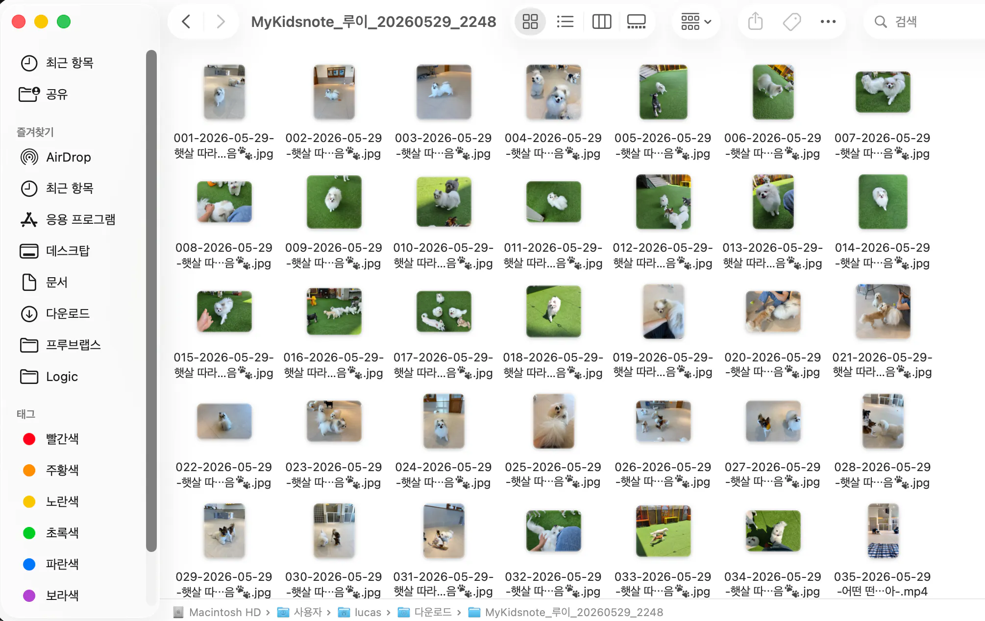 사진이 많은 사진 앨범의 스크린샷