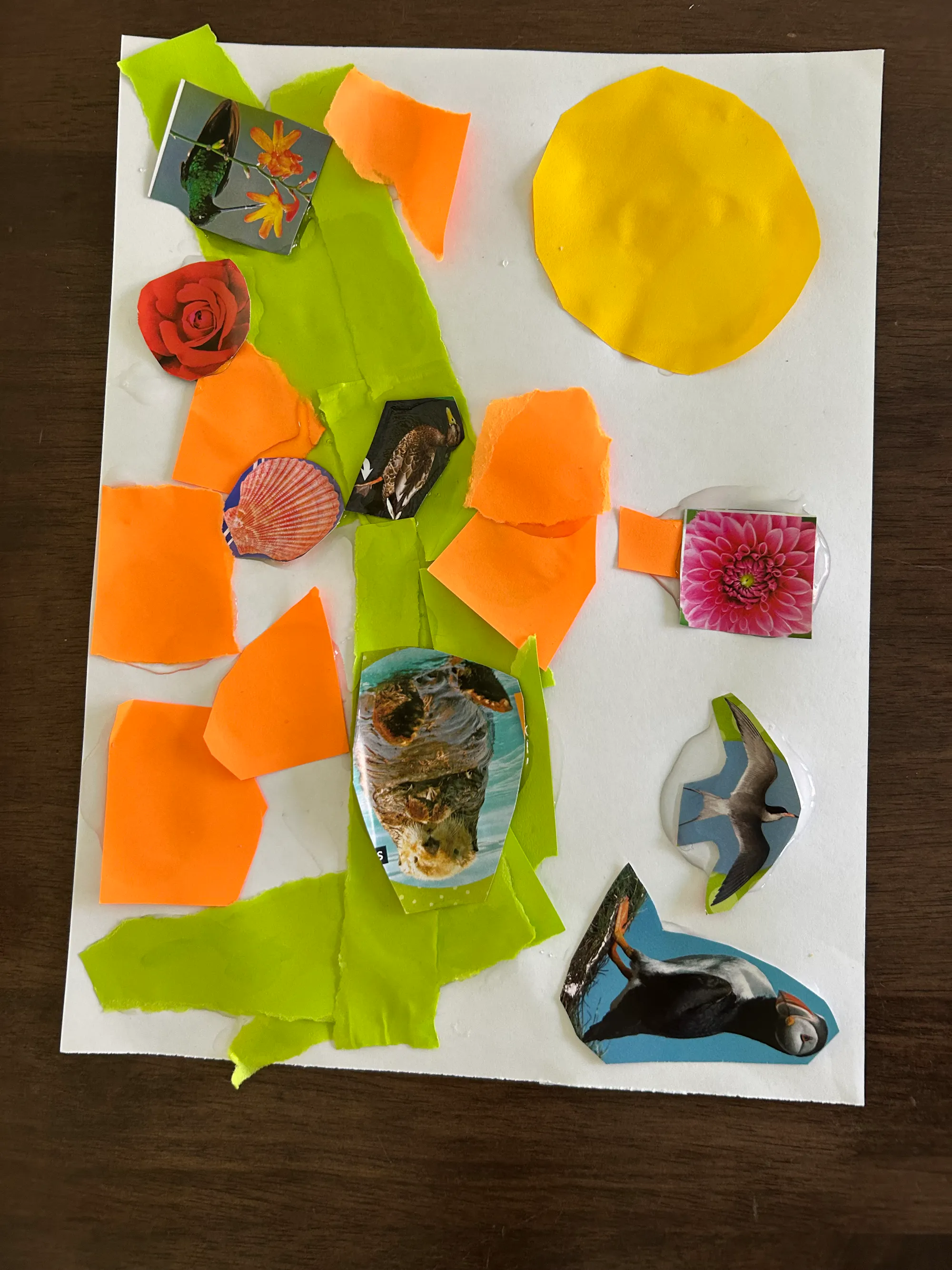 River collage by Basil