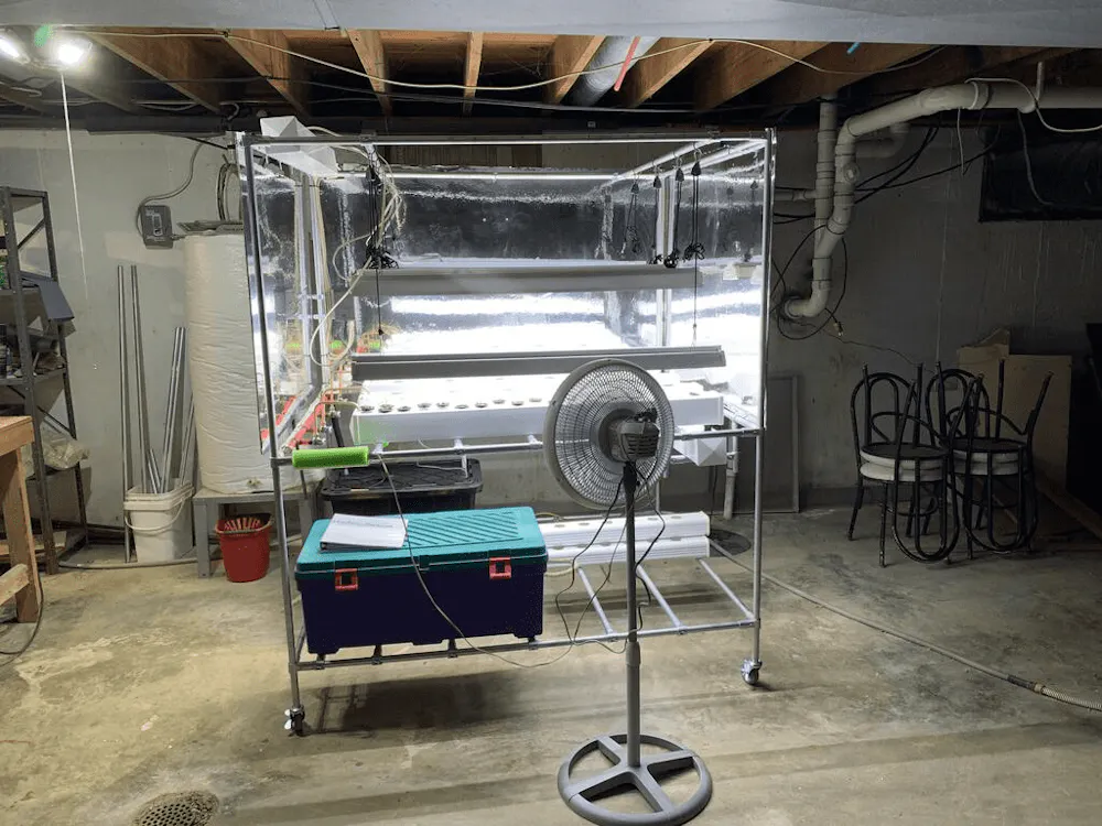 Vicky made this awesome hydroponics stand and suns...