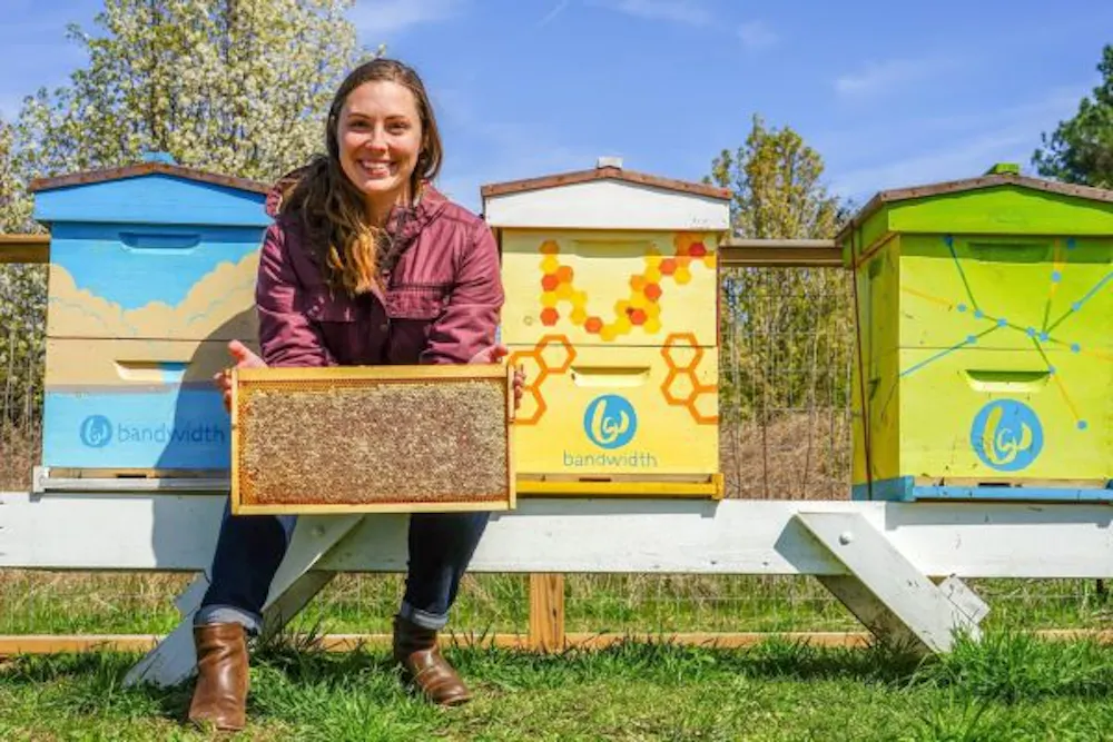 Bee-coming an Entrepreneur: A Behind-the-Scenes Look