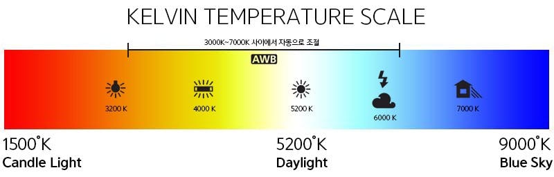 켈빈 온도 스케일