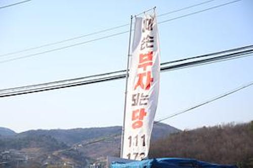 SamShin