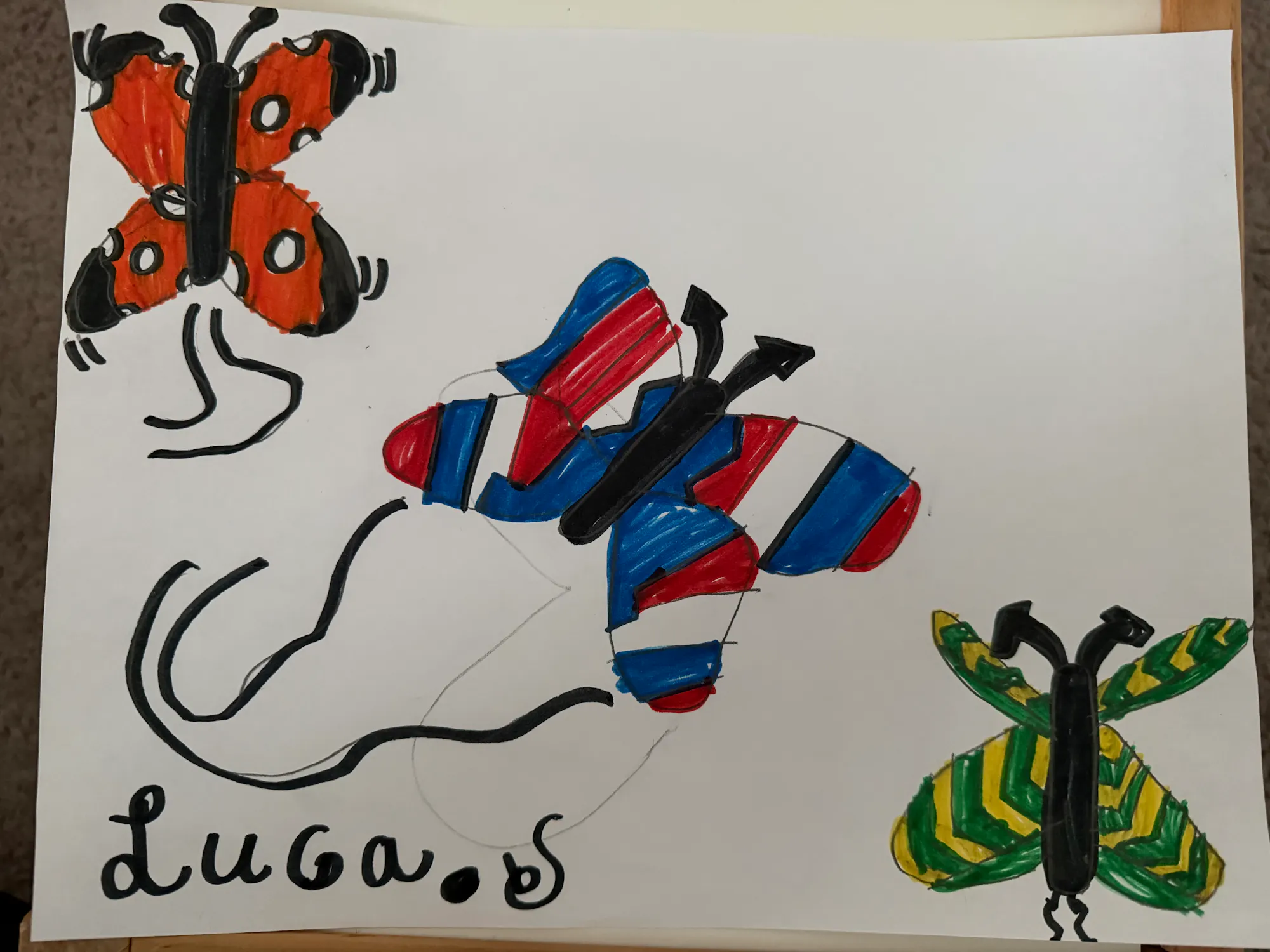 The Fast Butterflies