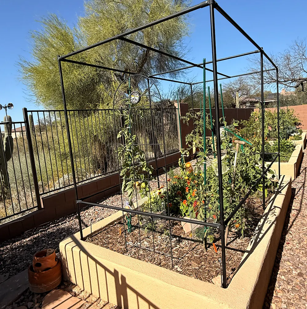Completed Trellis.png