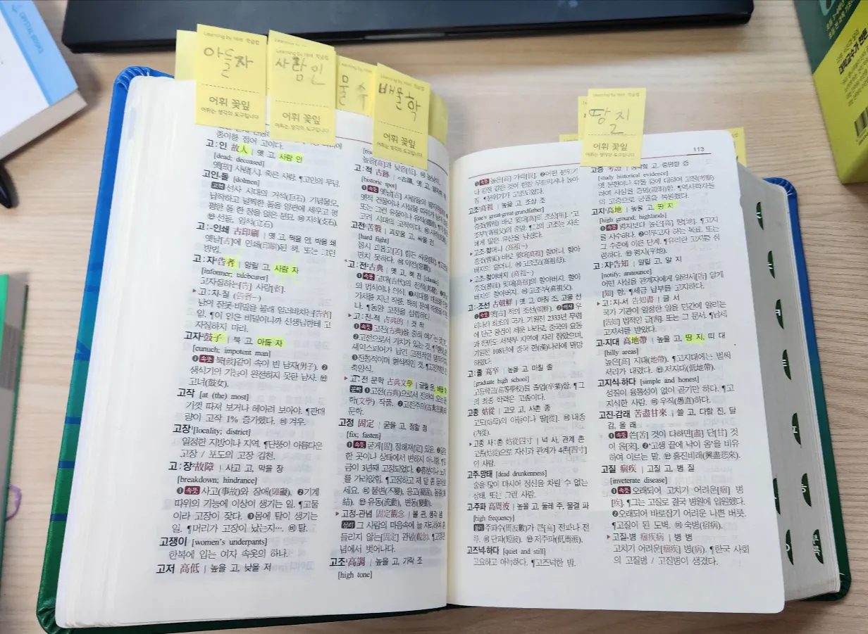 한국어 한국어 한국어 한국어 한국어 한국어 한국어 한국어