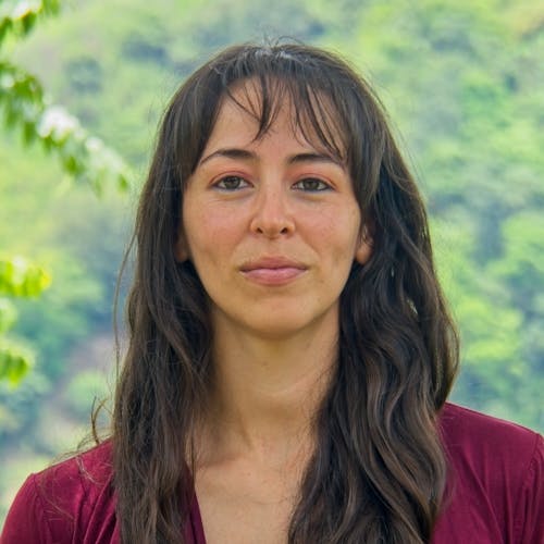 Paz A. Irola
