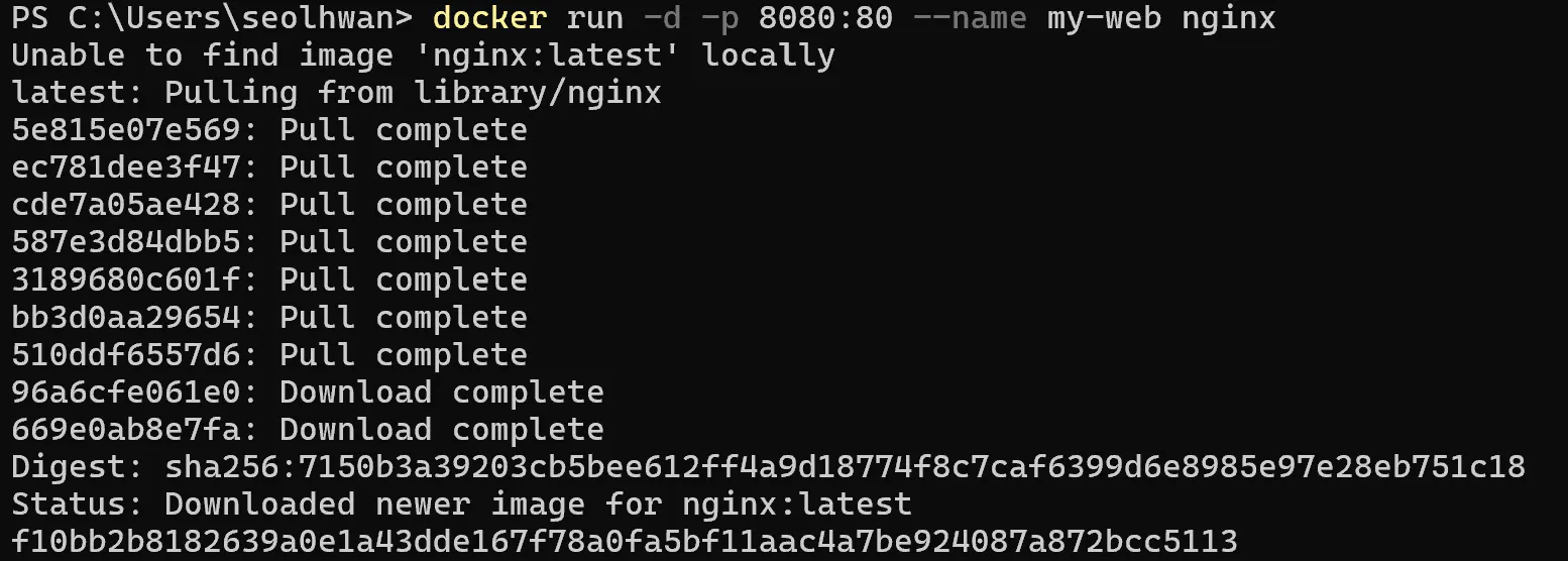 Python 스크립트의 스크린샷
