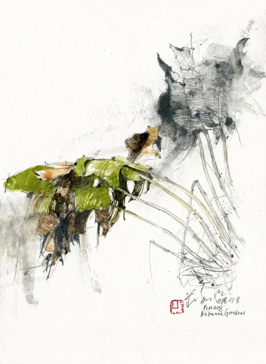 Travellers Palm (2018) by Ch'ng Kiah Kiean. Graphite and watercolour