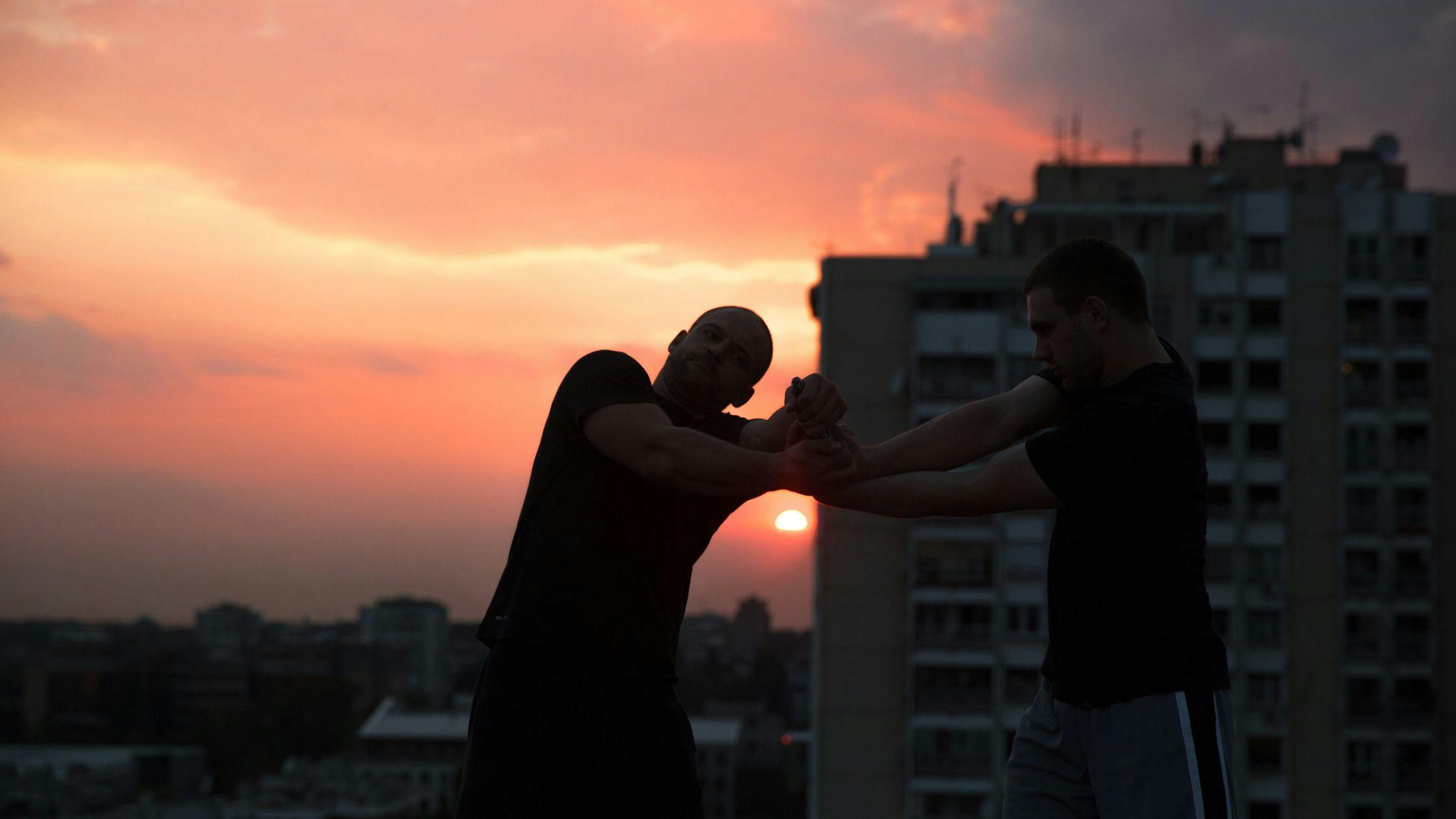 Sports de Combat Israéliens