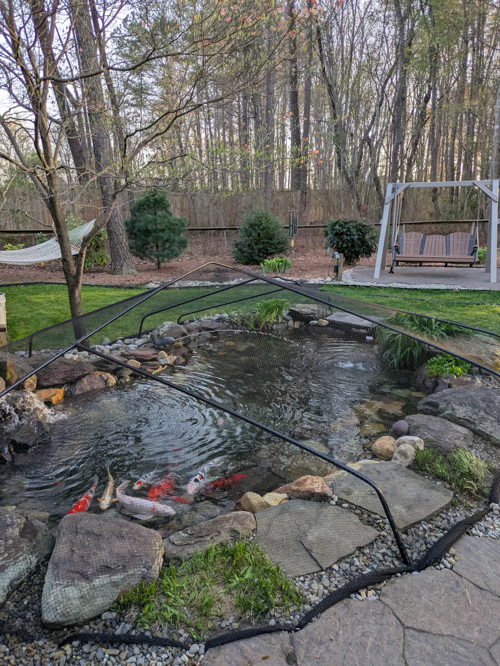 2025-04-05 18.43.59.jpg