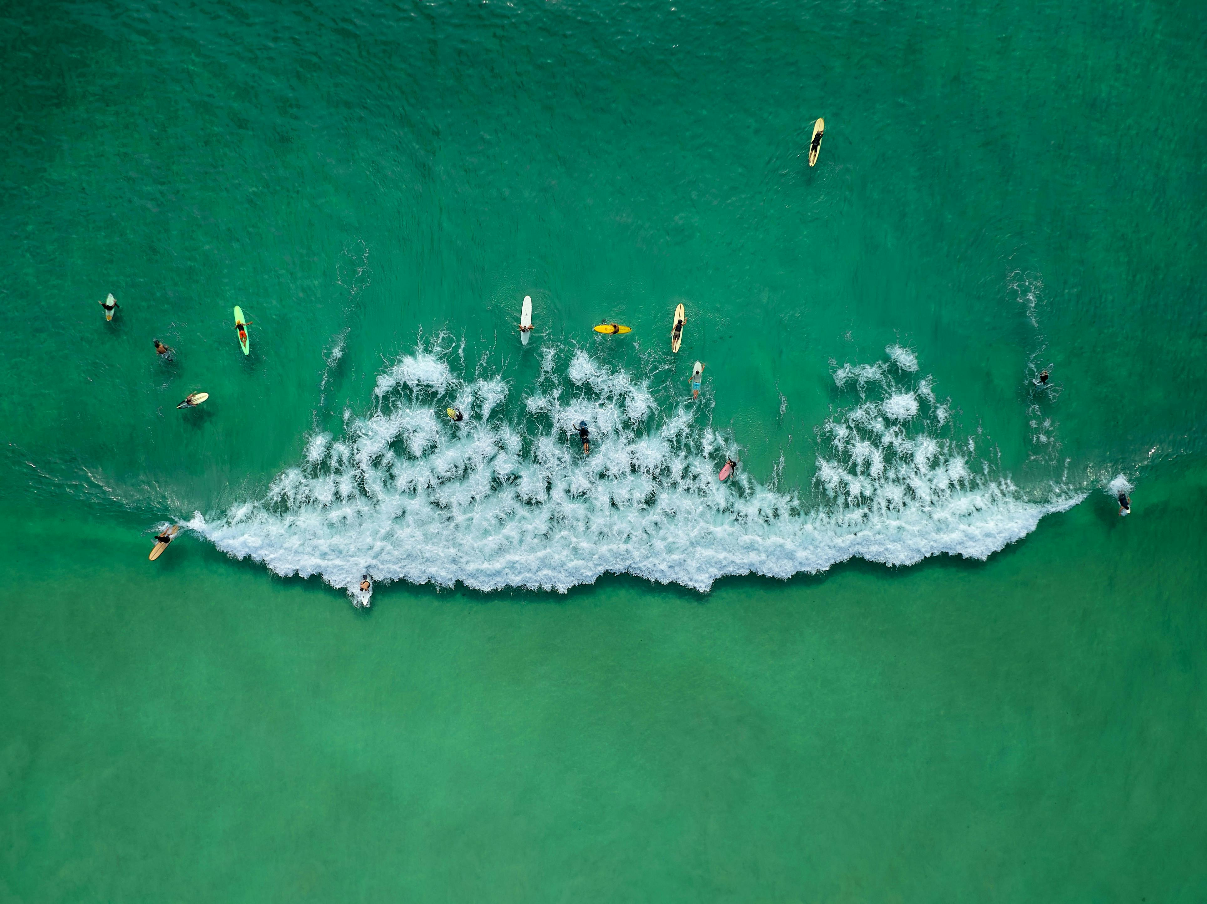 바다에서 서핑 보드를 타는 사람들의 그룹