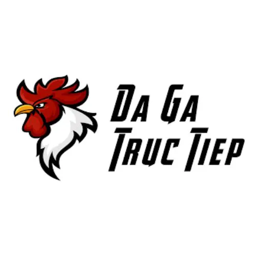 ĐÁ GÀ TRỰC TIẾP