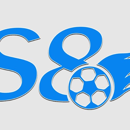 S8 law