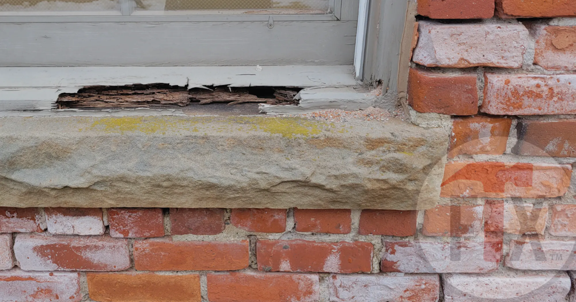 Epoxy and Rot Repair