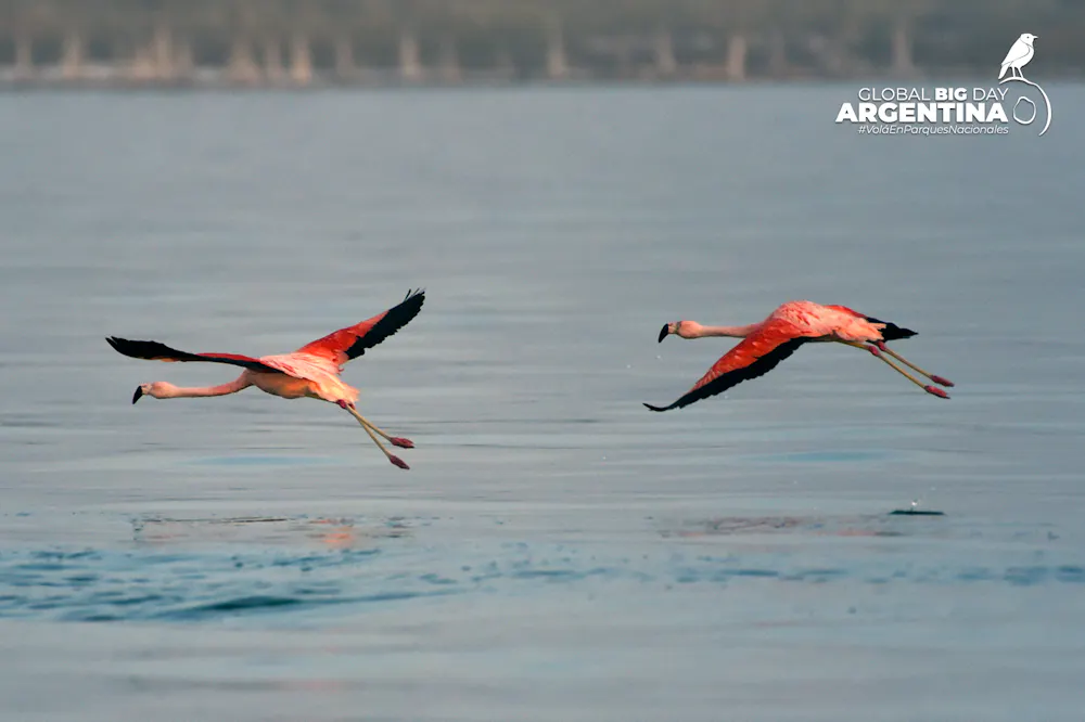 GLOBAL BIG DAY | El turismo de naturaleza crece en Argentina