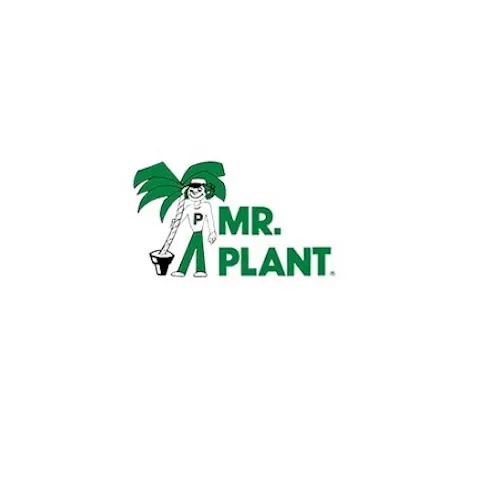 Mr. Plant
