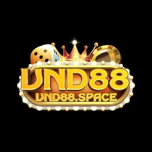 VND88 space