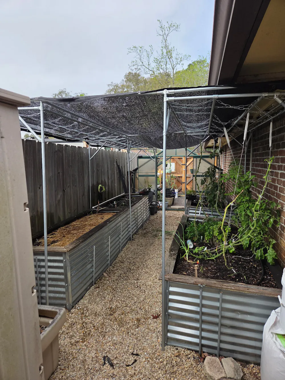 Raised bed trellis.jpg
