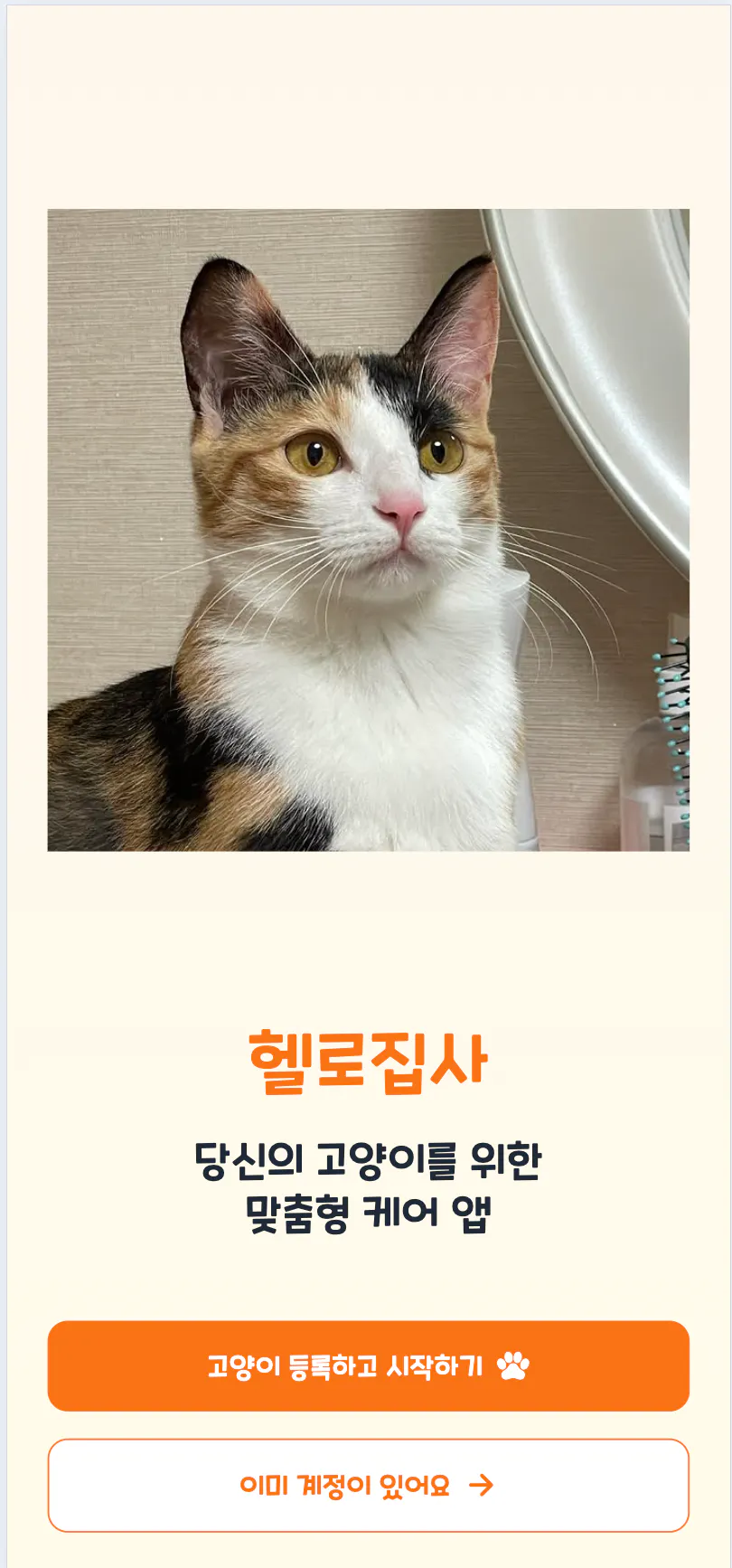 고양이가 한국인의 화면 앞에 앉아 있습니다.