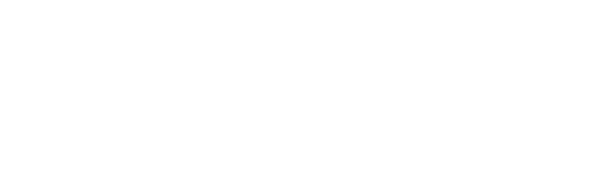 SmartSimple