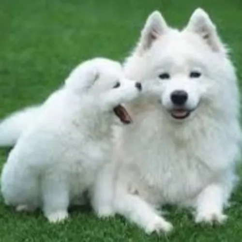 Gabriel Cruz Rodrigues