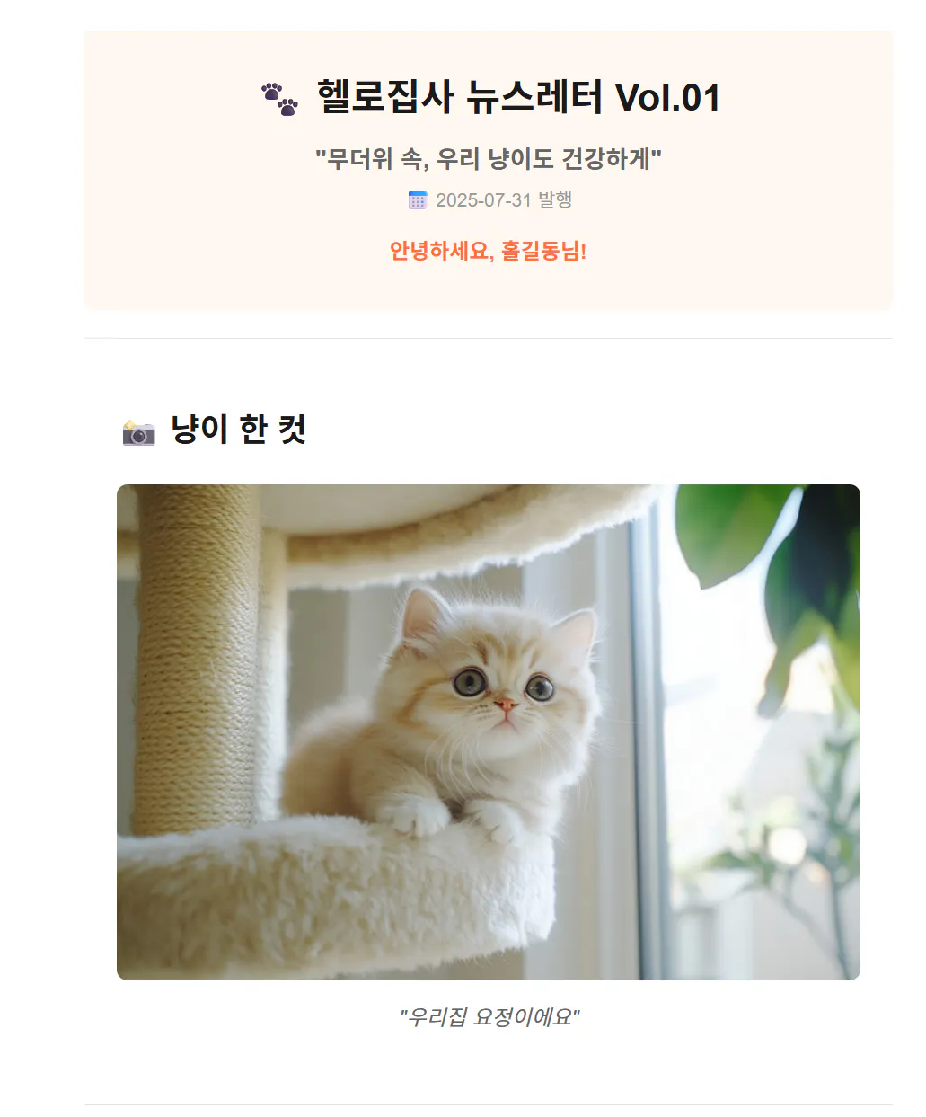고양이의 이미지가 달린 한국 잡지의 스크린 샷