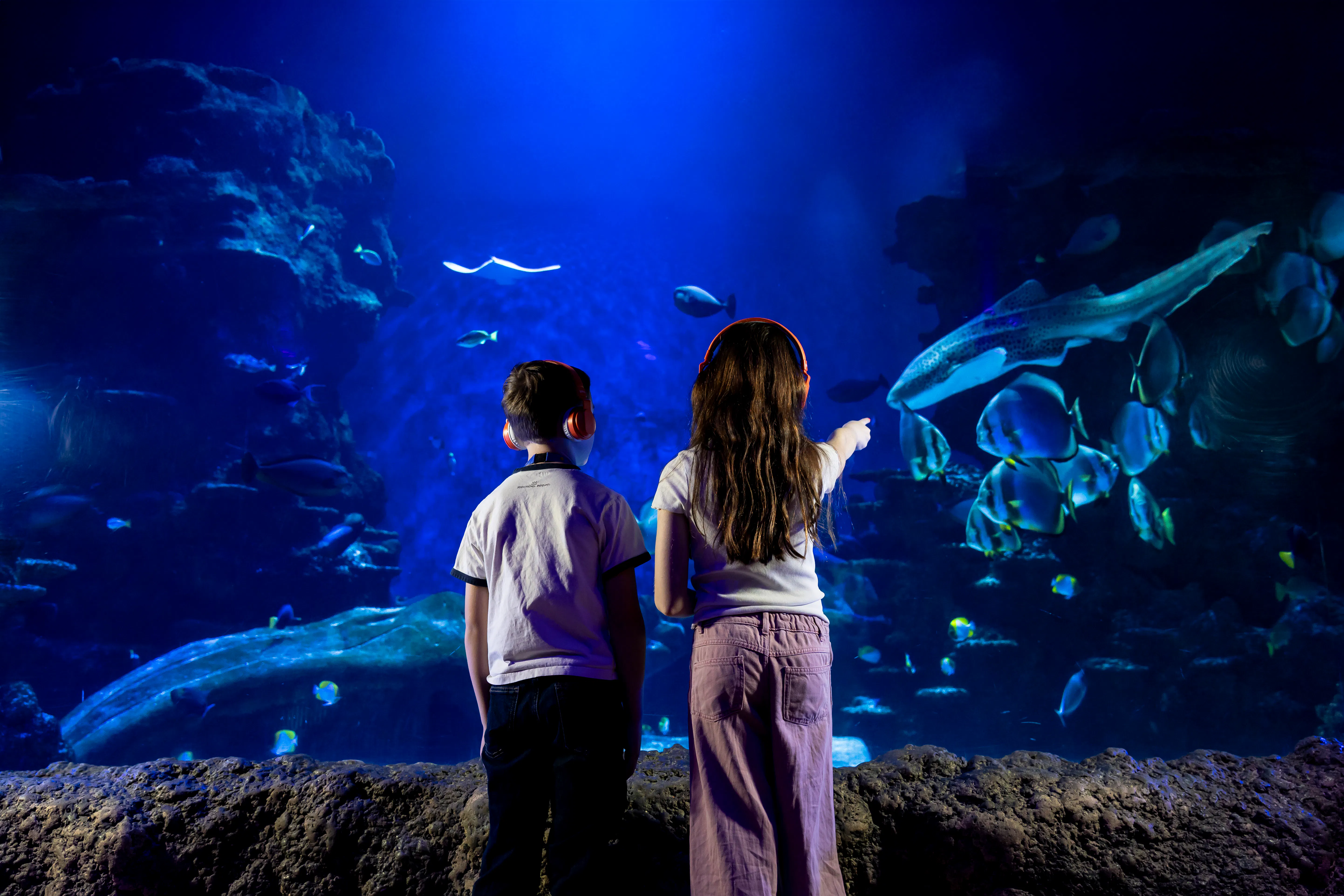 A photo from the opening event: two children wearing Yoto Headphones stand in front of a massive fish tank. The child on the right is pointing to a fish.