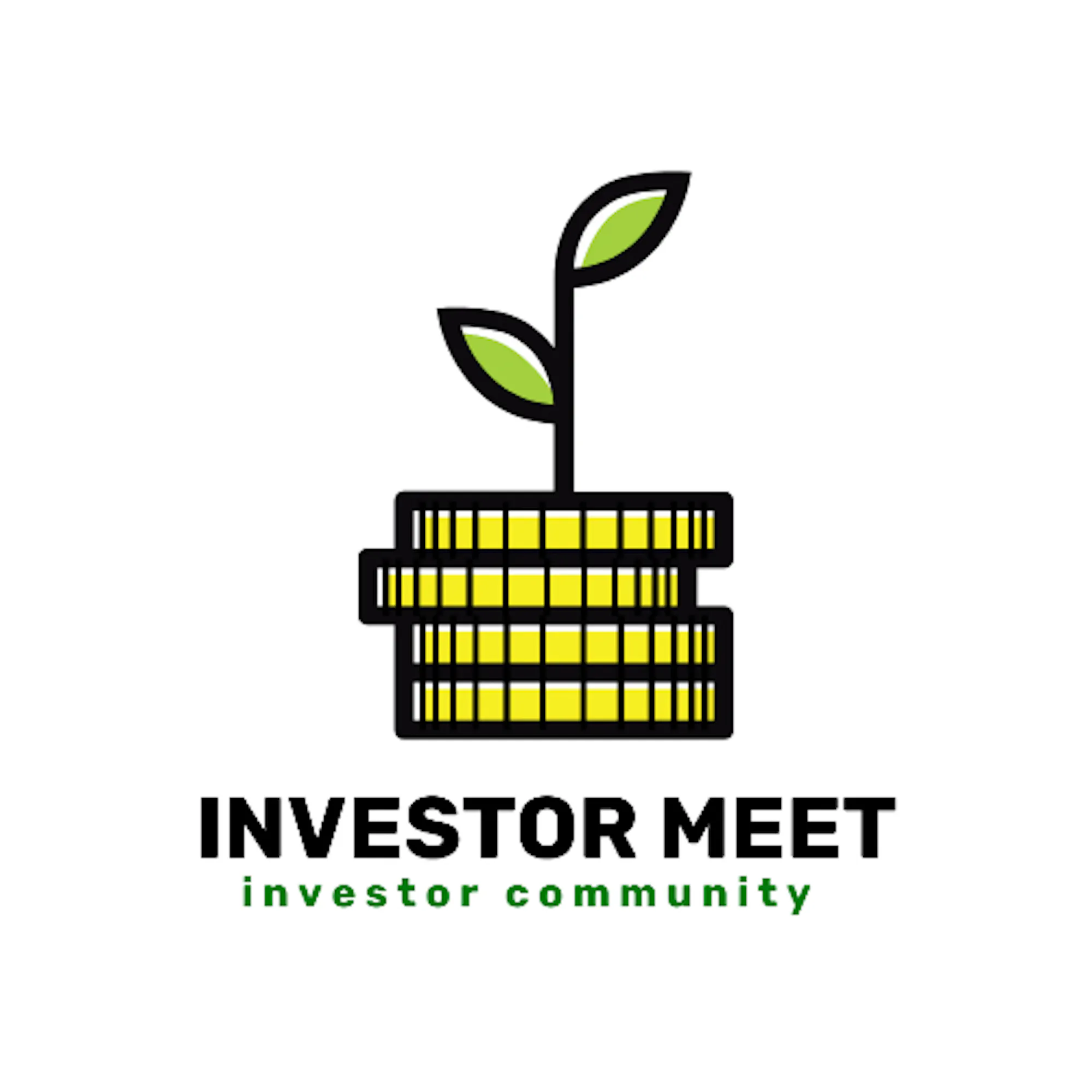 Investor Meet