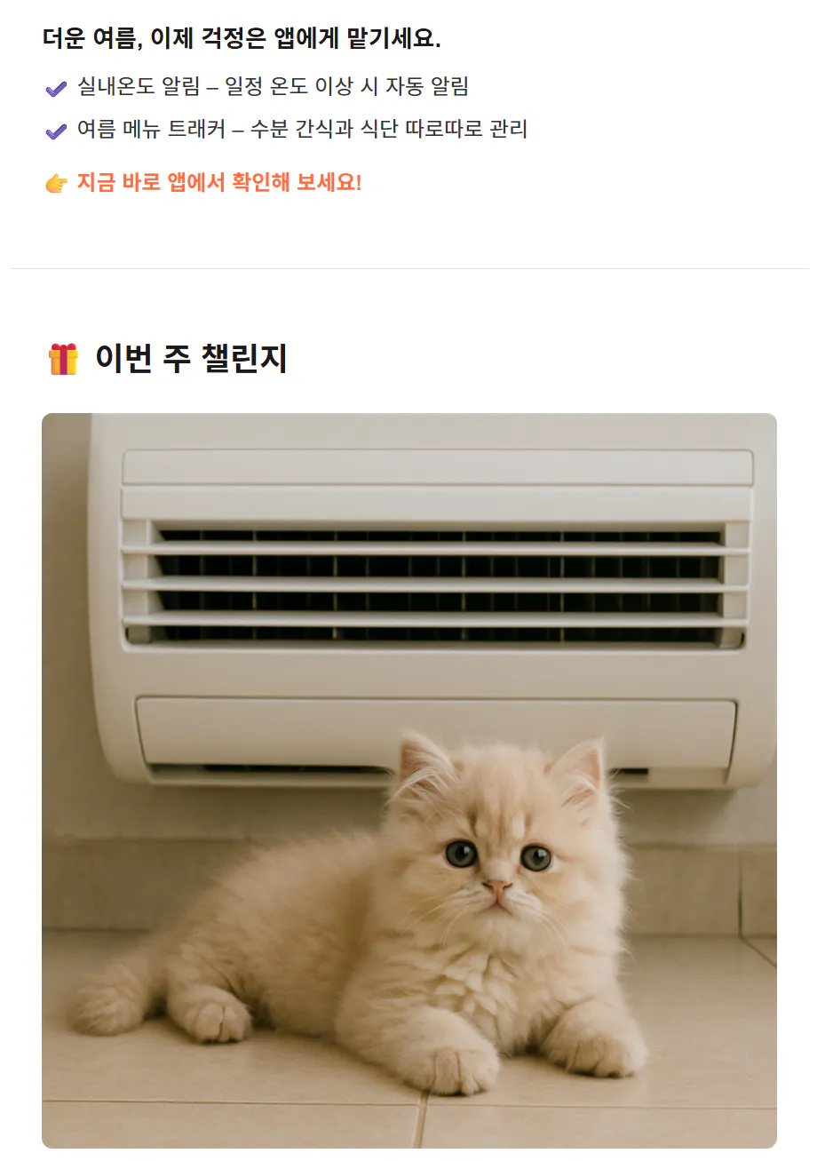 에어컨 옆 바닥에 새끼 고양이의 이미지