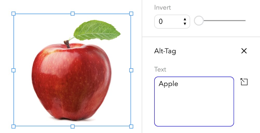 Accessibility Using Alt Tags and Aria Labels