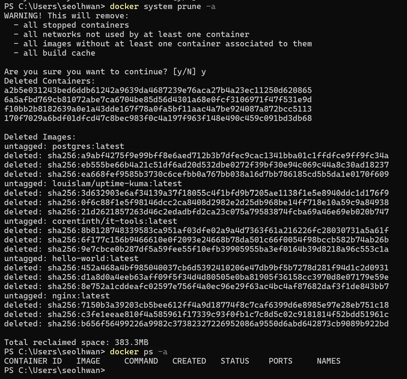 Python 스크립트의 스크린샷