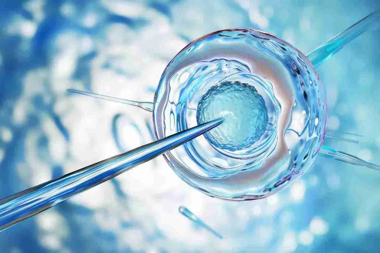 Embryo Quality: The Most Common Factor