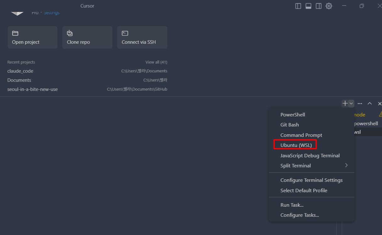 Adobe Flash 플레이어의 스크린 샷