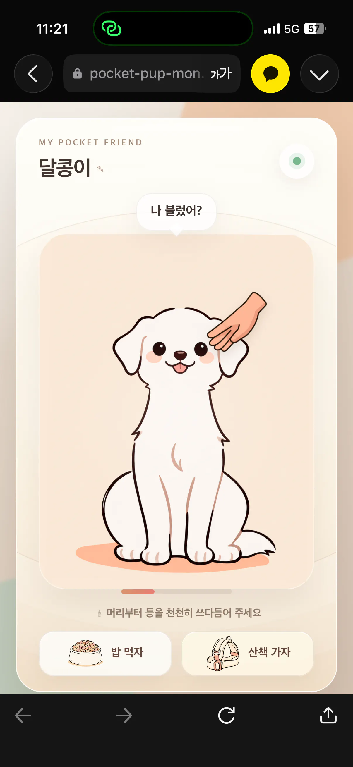 앱 화면에 강아지 사진