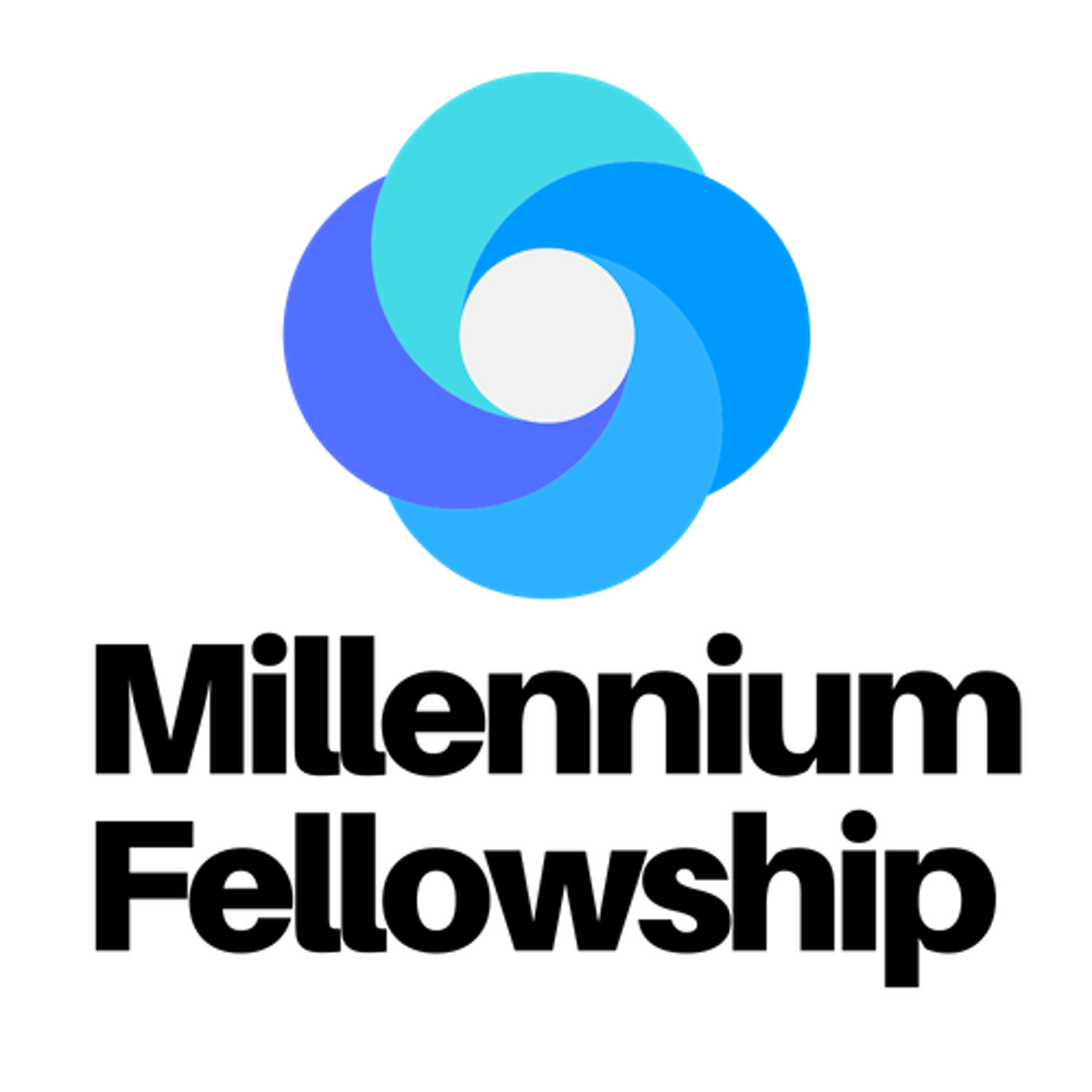 Millennium Fellowship Portal