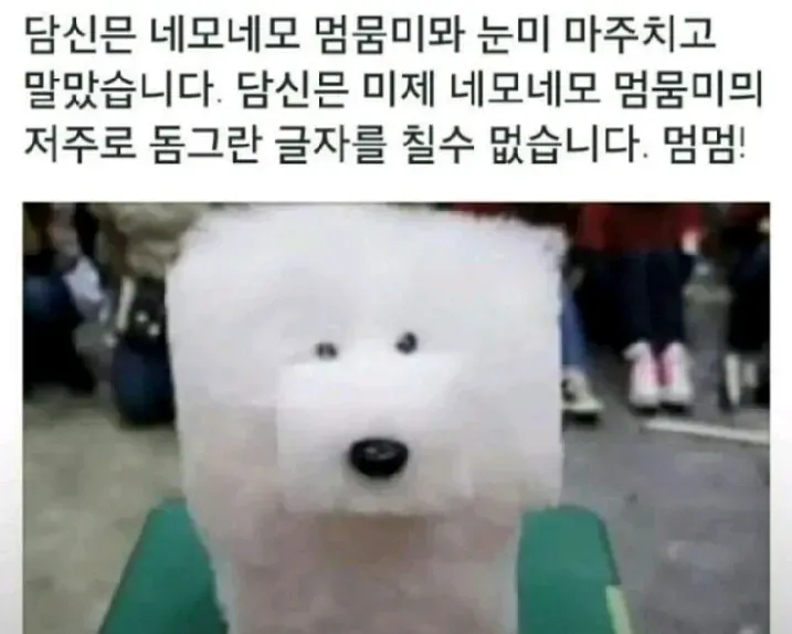 흰 개가 한 무리의 사람들 앞에 테이블에 앉아 있습니다.