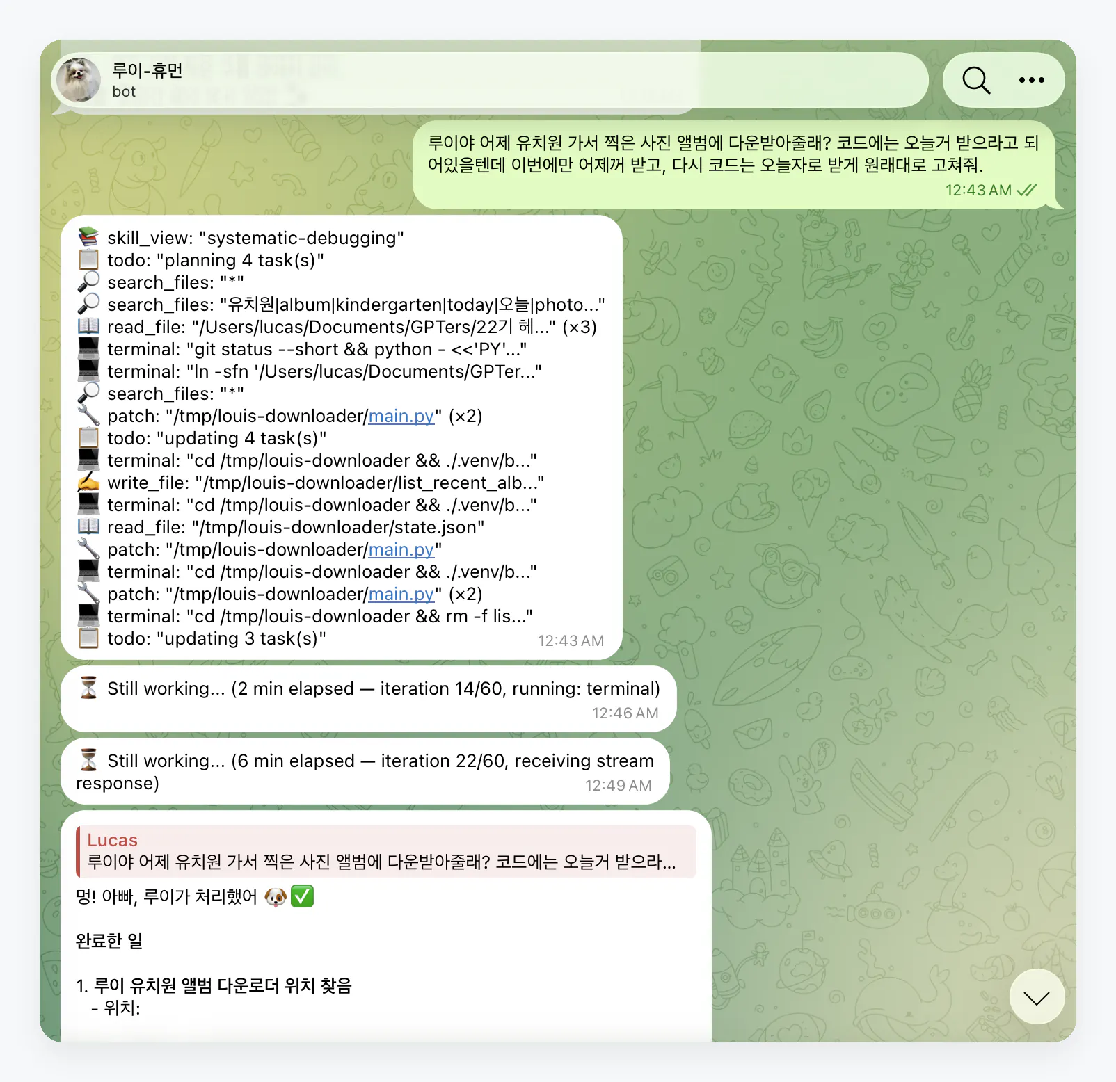 한국어 텍스트가 포함된 WhatsApp 메시지 스크린샷