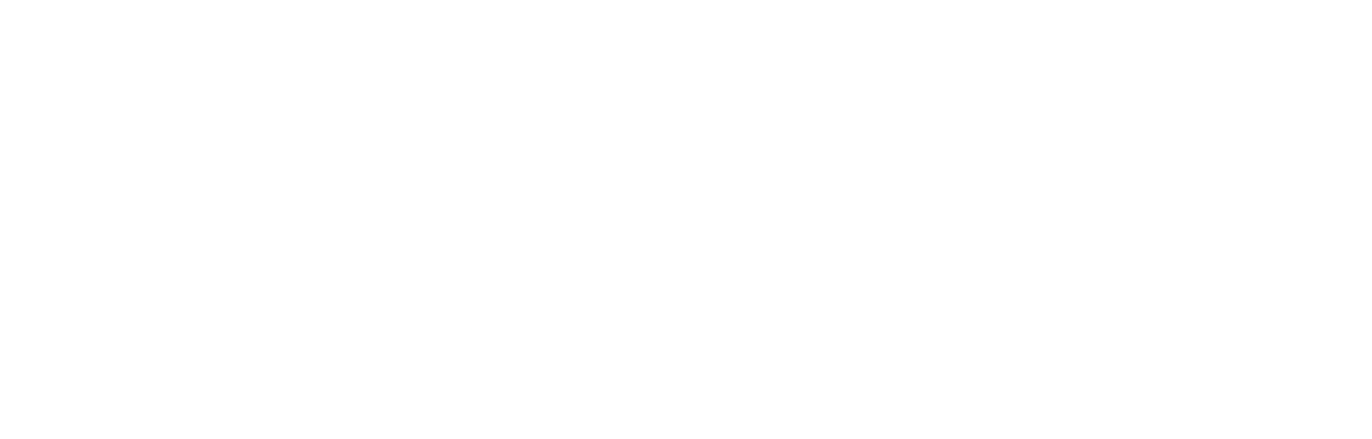 New Reality Fund