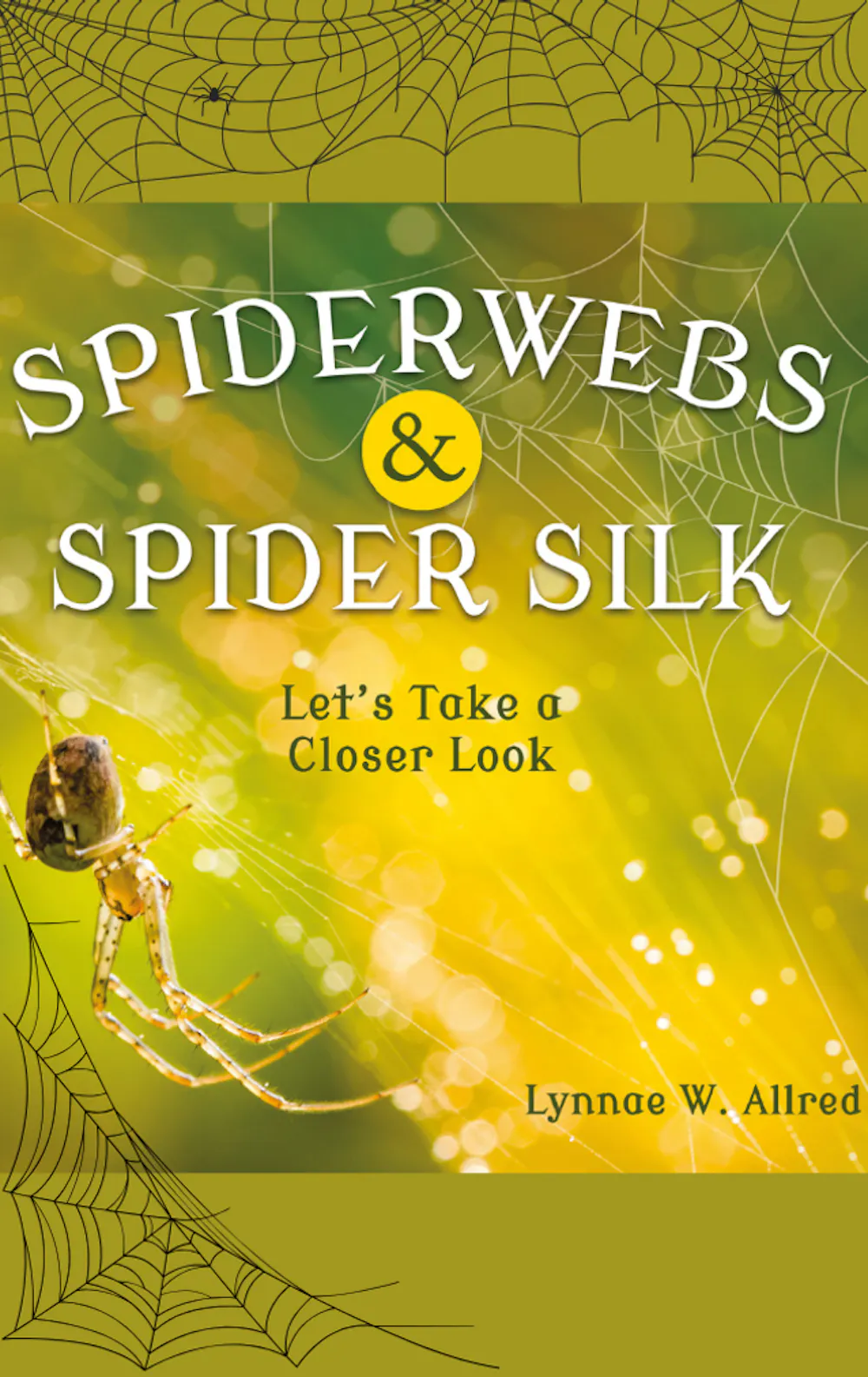 Spiderwebs and Spider Silk: Let's Take a Closer Look