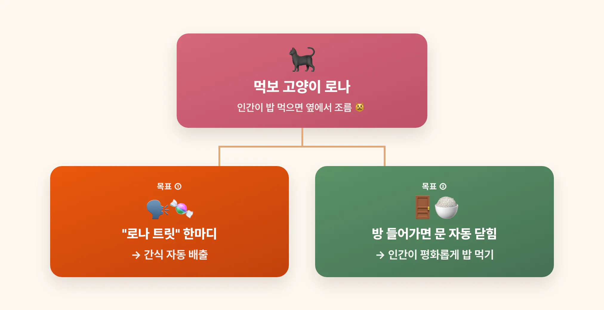 한국 고양이 한국 고양이 한국 고양이 한국 고양이 한국 고양이 한국 고양이