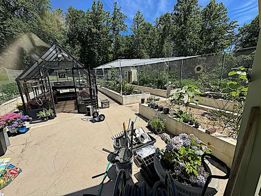 image-1500916607724935.webp