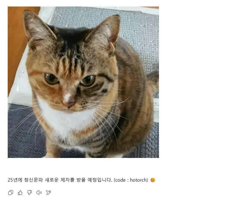 한국 텀블러에 고양이의 이미지
