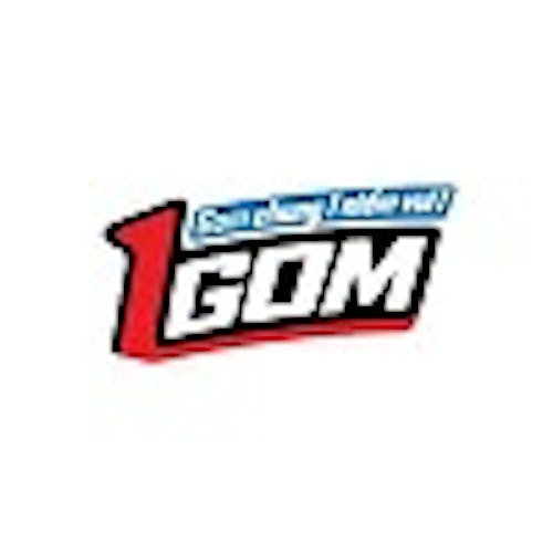 1GOM1 xyz