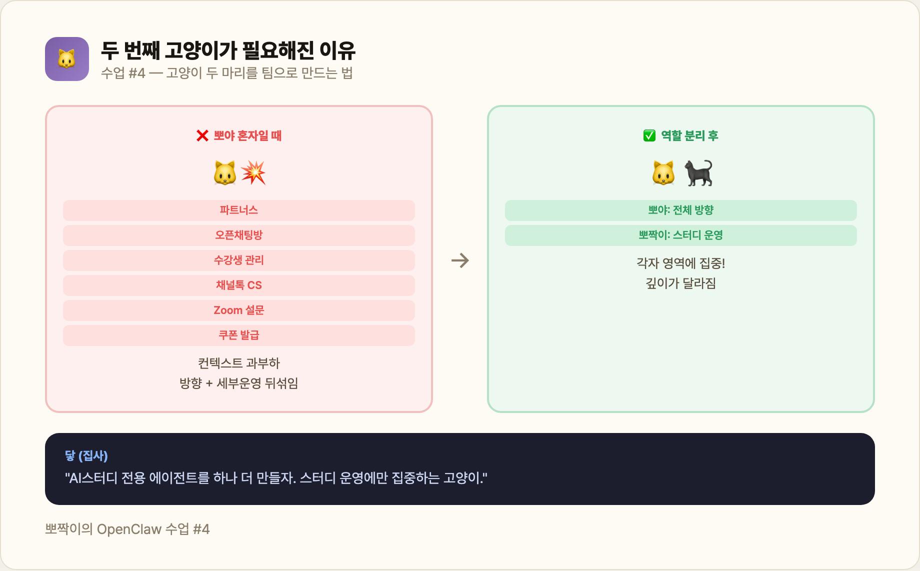 두 번째 고양이가 필요해진 이유